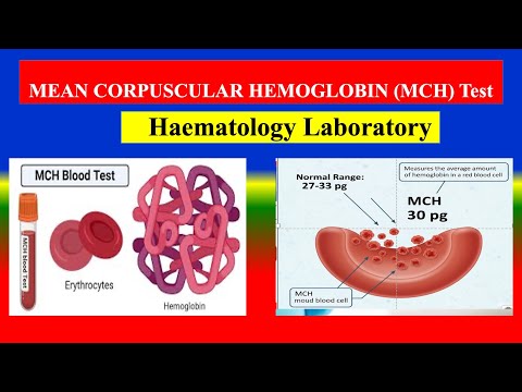 MEAN CORPUSCULAR HEMOGLOBIN (MCH) Test -  Define, Uses, Need , Preparation , Results, Normal Values