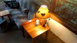 Lindsey Button - David Rawlings, feat "Cali Cat" internet sensation...