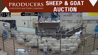 5/21/2024 - Producers Livestock Auction Company Sheep & Goat Auction