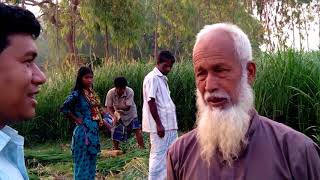 ঘাস চাষ ভিডিও