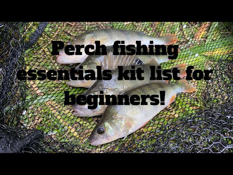 What do I need to start perch lure fishing? Complete kit list!