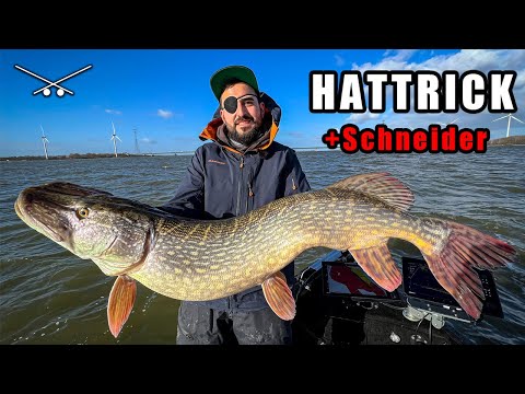 The break is over ⚠️ Hat trick on the big water // Fishing for pike, zander & perch