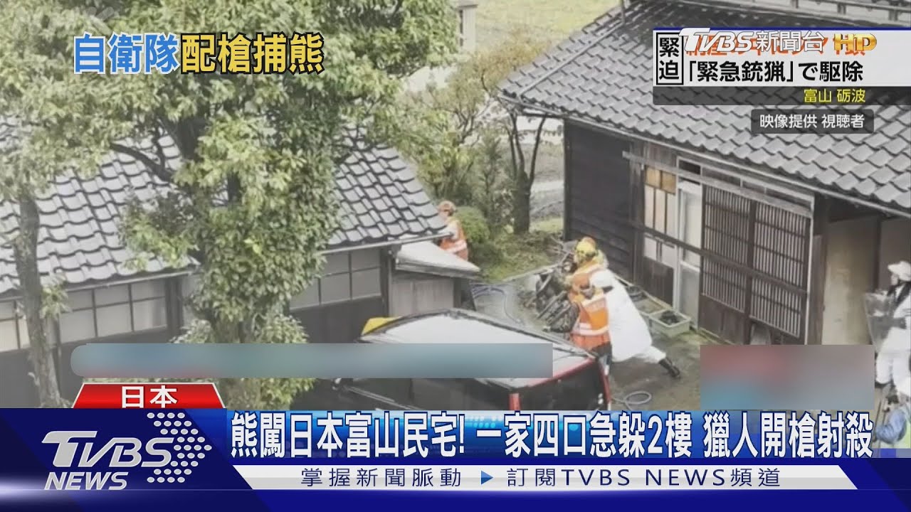 熊闖日本富山縣民宅!一家四口急躲2樓 獵人開槍射殺