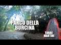 LA SUBLIME RISERVA NATURALE  DELLA BURCINA A BIELLA! CI SONO ALBERI UNICI IN ITALIA! (Video in 4K)