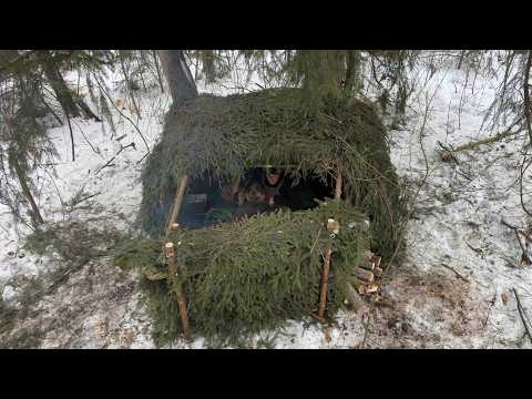 Alone in Deep Snow Building a Survival Shelter in the Winter Forest with Berta