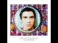 David Fonseca - Intro