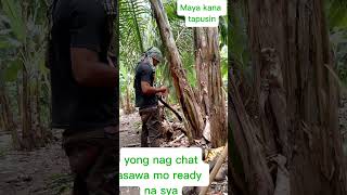 Download lagu uli oie 🤣 #funnyvedio mp3 Download lagu uli oie 🤣 #funnyvedio mp3