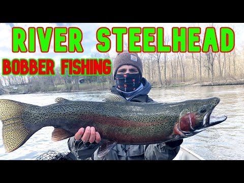 Steelhead BOBBER DOWNS!! (Michigan)