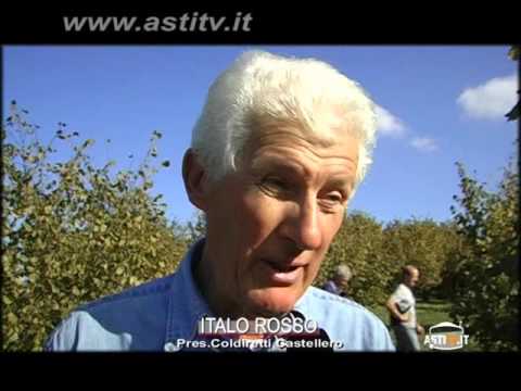 Semi per la prostata Adenoma della prostata sua dimensione