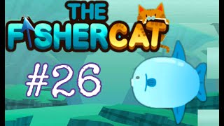 Sun Fish / Fisher Cat #26