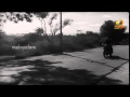 Manthrakodi Movie Scenes Prem Nazir Chasing Goons Vijaysree MS Viswanathan