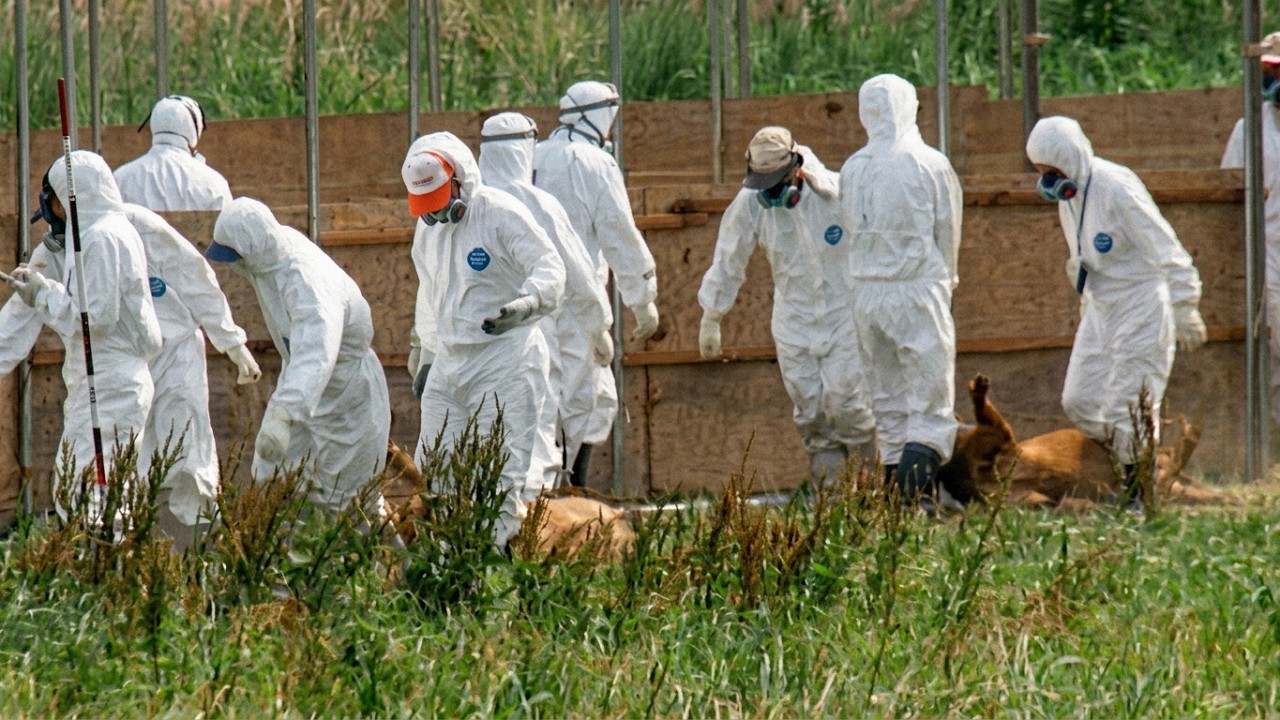 The Ghosts of Fukushima