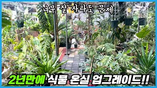 확 바뀐 식물 온실투어와 화분정원 그리고 수국정원까지!! 영상 김 주의 ㅠㅠ