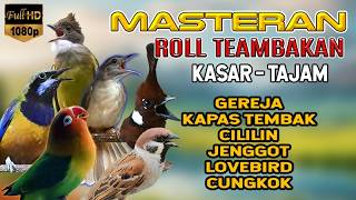Download lagu #02 MASTERAN ROLL SPEED KASAR FULL TEMBAKAN PANJANG dan TAJAM, untuk MURAI BATU CUCAK HIJAU CENDET mp3
