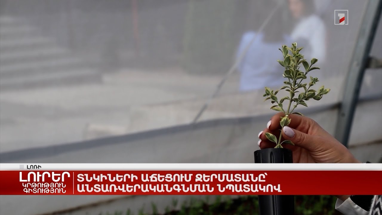 Տնկիների աճեցում ջերմատանը՝ անտառվերականգնման նպատակով