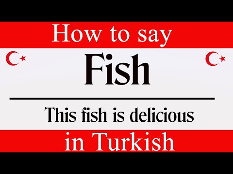 Learn Turkish & How To Say "Fish" in Turkish | Learn Turkish Language