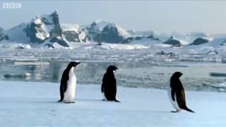 Об интересных новостях мира