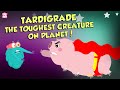 What Are Tardigrades The Strongest Creature Ever The Dr Binocs Show Peekaboo Kidz