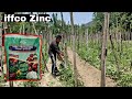 Iffco Zinc जिंक उर्वरक के फायदे और इस्तेमाल Zi