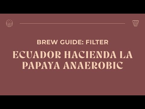 Brew Guide - Ecuador Hacienda La Papaya Anaerobic Filter