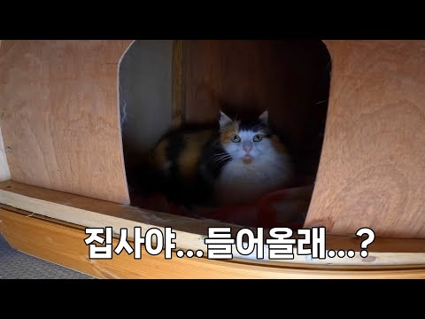 산골에 버려진 까칠한 봄이가 마음을 여는 순간들