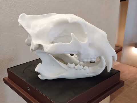 ANAGNI LA CITTÀ DEI PAPI 1 PARTE