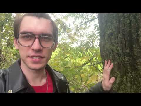 Uziemienie cz. 2 #ezoteryka #magia #uzdrowiciel #natura 