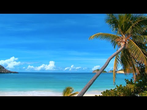 The perfect beach scene with gentle wave sounds. Great for relaxing, studying or meditation.