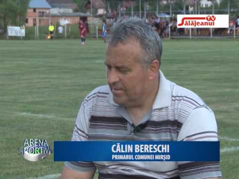 ARENA SPORTIVA  invitati  CALIN BERESCHI, LEONTIN MOGA, MARIUS PASCA, DANIEL SABOU