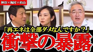 【神谷×梅村×杉山】庶民の生活を苦しめる再エネ政策とは？太陽光パネルは全てゴミ【参政党】【神谷宗幣】【梅村みずほ】【杉山大志】#参政党 #記者会見 #神谷宗幣  #日本の政治 #及川幸久