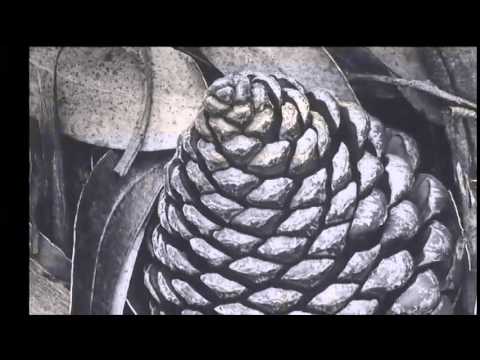 In the Frame: Exploring the DIA - Episode 206