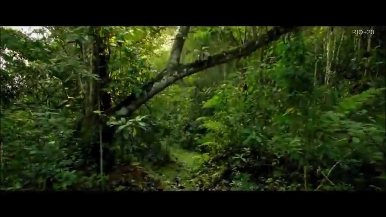 Rio+20 Desafios da Sustentabilidade.