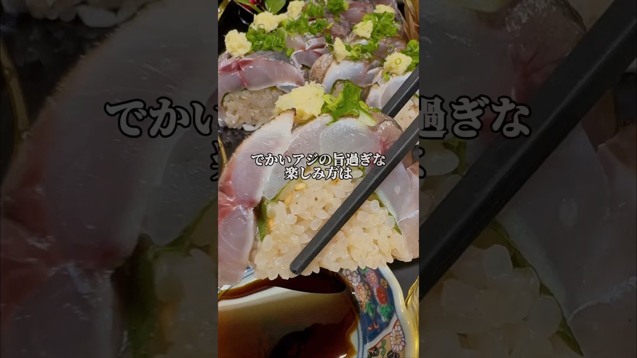 【アジあっさり酢締め】贅沢な棒寿司がうますぎる🤤#魚 #料理 #asmr #鯵#sushi #shorts