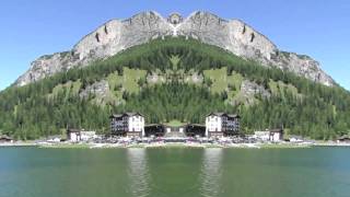 Cervo a Primavera : Riccardo Cocciante