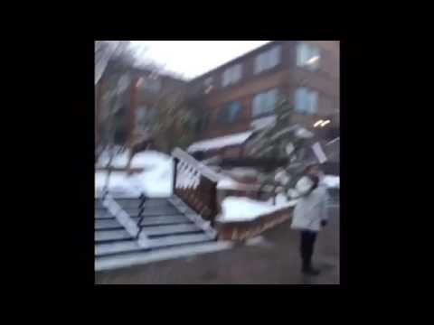 Alenia Pictures And Pacenogei, Big Bear 03/05/2017