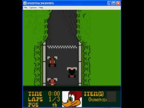 Woody Woodpecker Racing PC