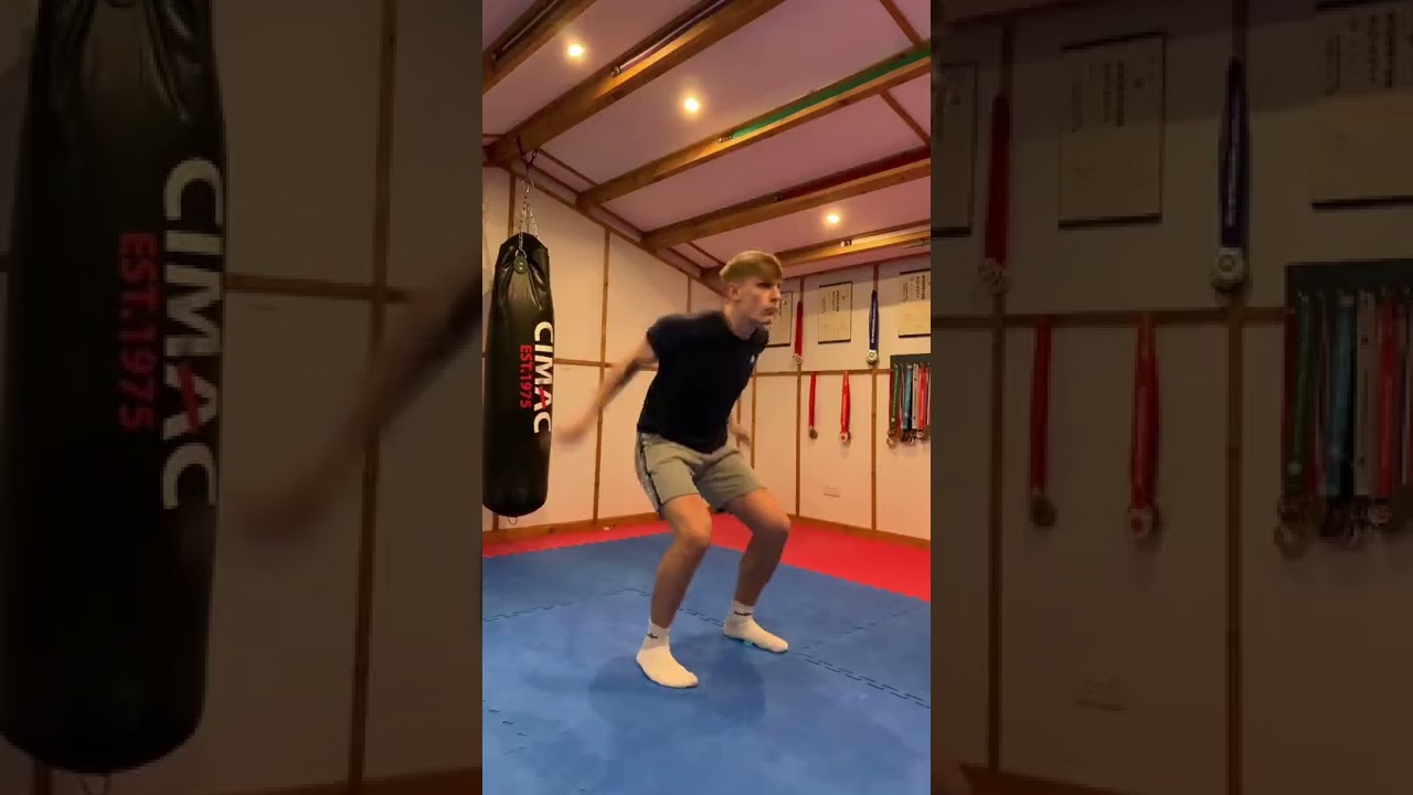 Shadow Fight moves🥋which game is next?