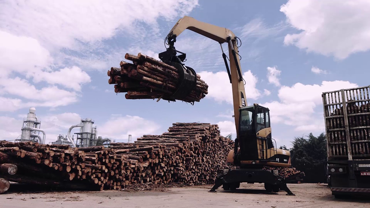 Documentário completo - Investigacao MDP x MDF