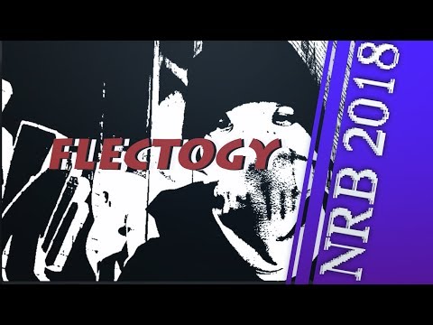 NRB 2018 ✖️Flectogy Qualifikation #11