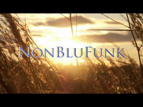 NonBluFunk - Sen