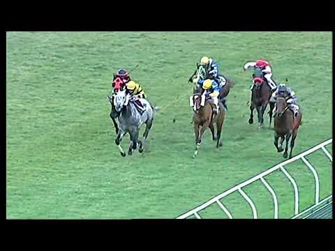 Napoli Galoppo 15/02/2022 - 6ª corsa