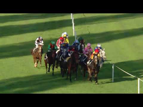 Avenches/10.10.2017/Prix de Belmont Park