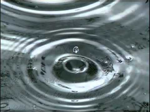 SUZE Micha Markovic kompozitor i solista na saksofonu