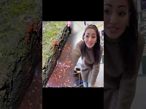 #acting #humour #comedie #drole #pourtoi#class #ecole