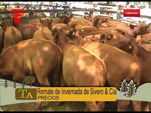 PRECIOS DEL REMATE DE INVERNADA