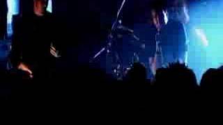 The Butterfly Effect - Crave (Live)