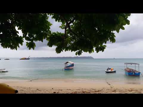 Madhav tour and travel pvt Ltd.