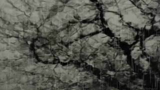 The Tea Party - Watching What the Rain Blows In