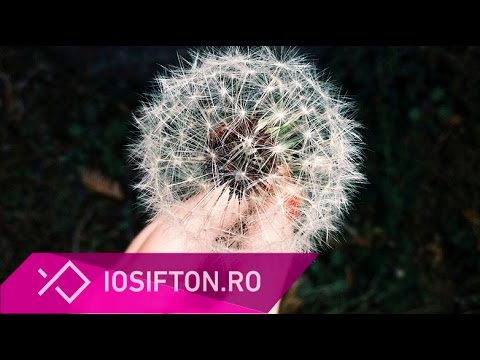 Iosif Ton: Procesul innoirii