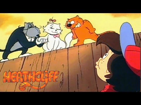 May the Best Cat Win | Heathcliff - WildBrain | Movies for Kids
